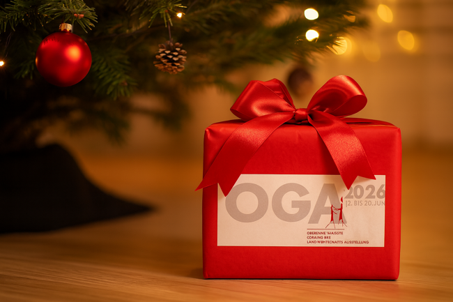 Newsletter Dezember 2025